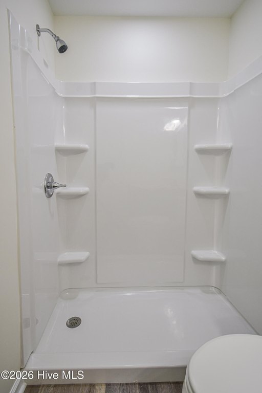 Picture 51