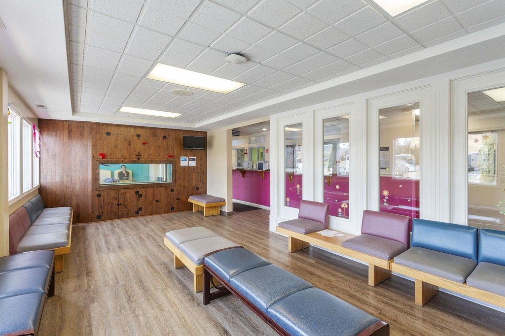 Picture 7