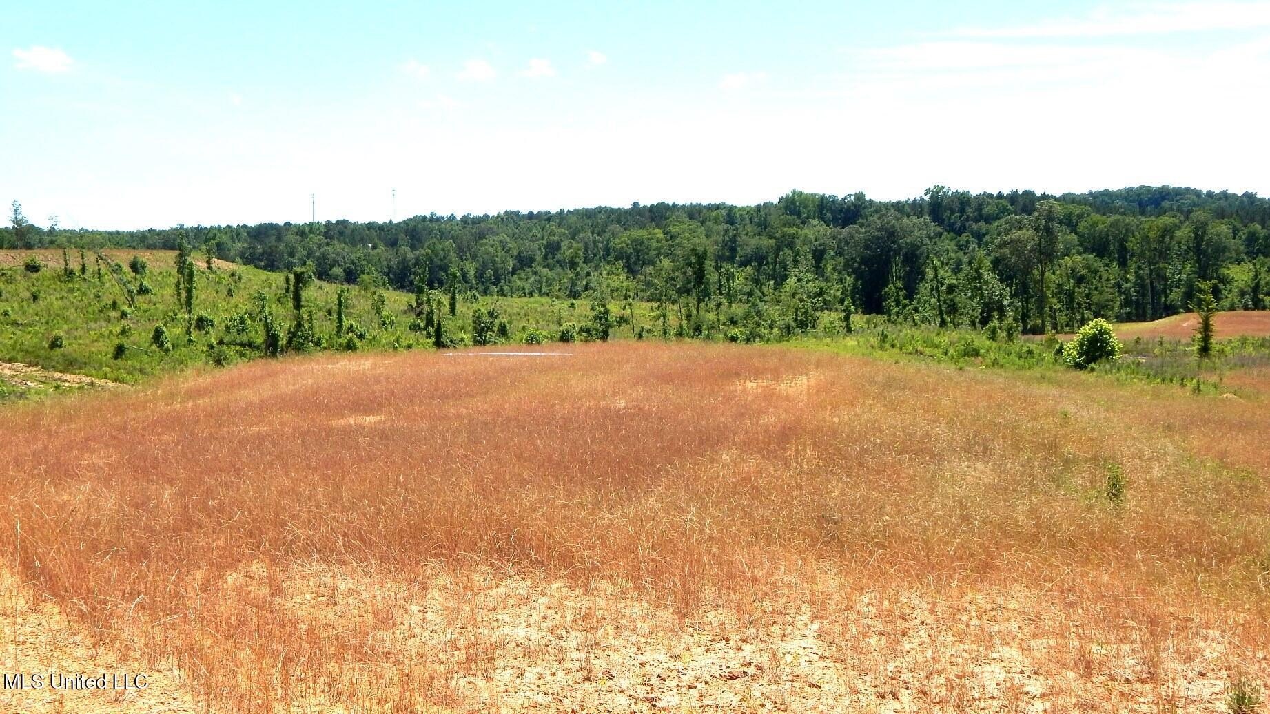 Grenada Lake Area Land