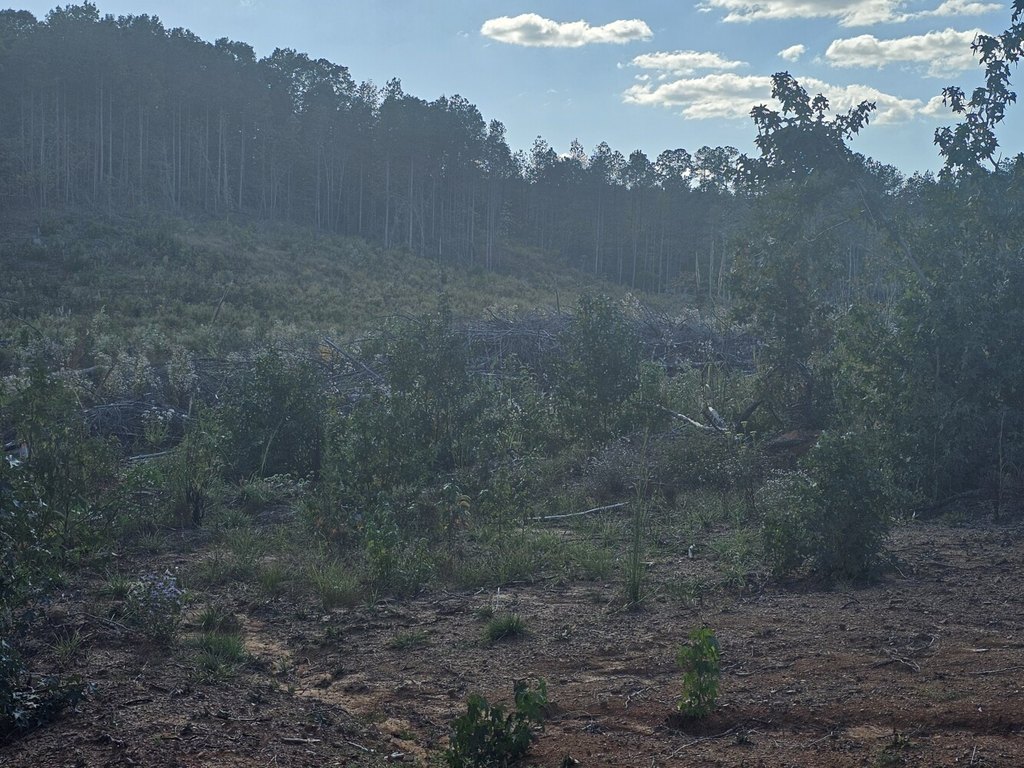 Picture 28