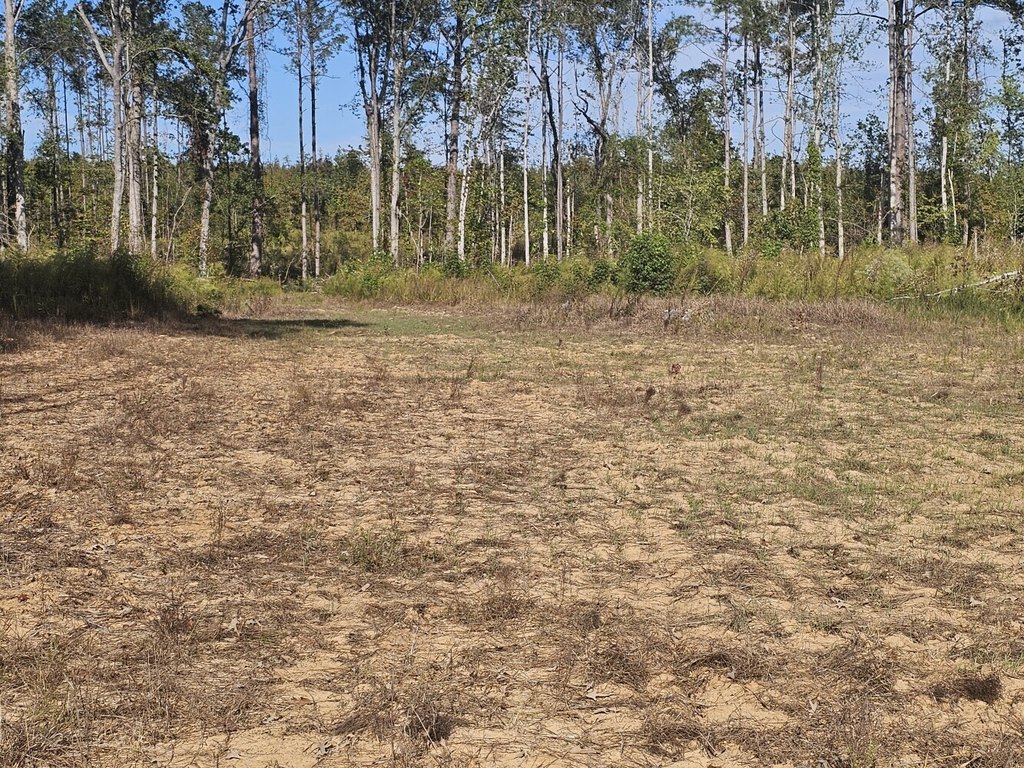 Picture 39