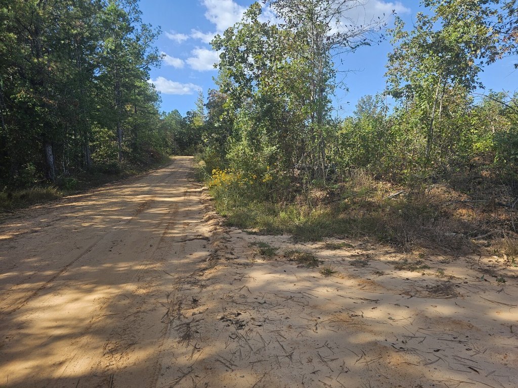 Picture 10