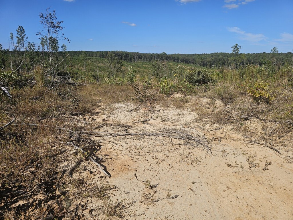 Picture 30