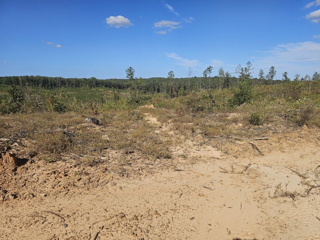 Picture 27