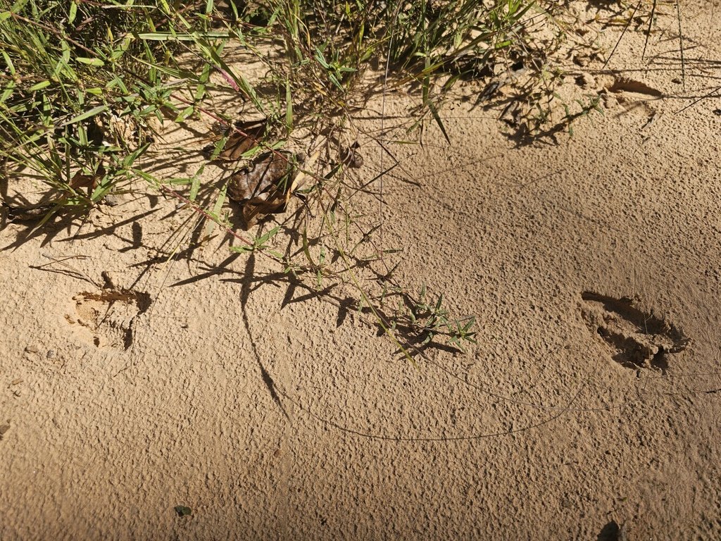 Picture 34