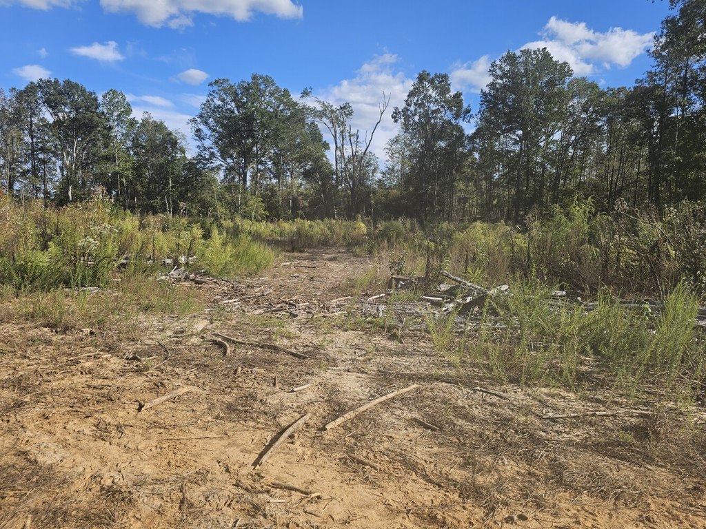 Picture 40