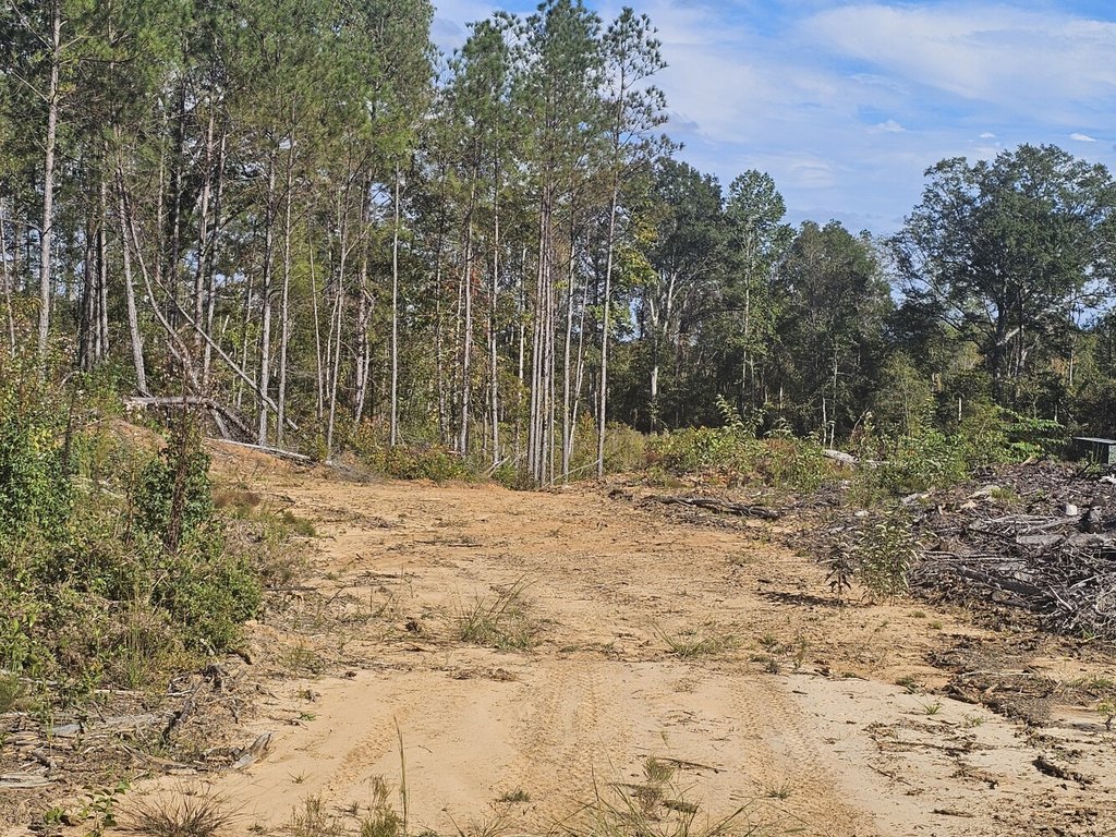 Picture 38