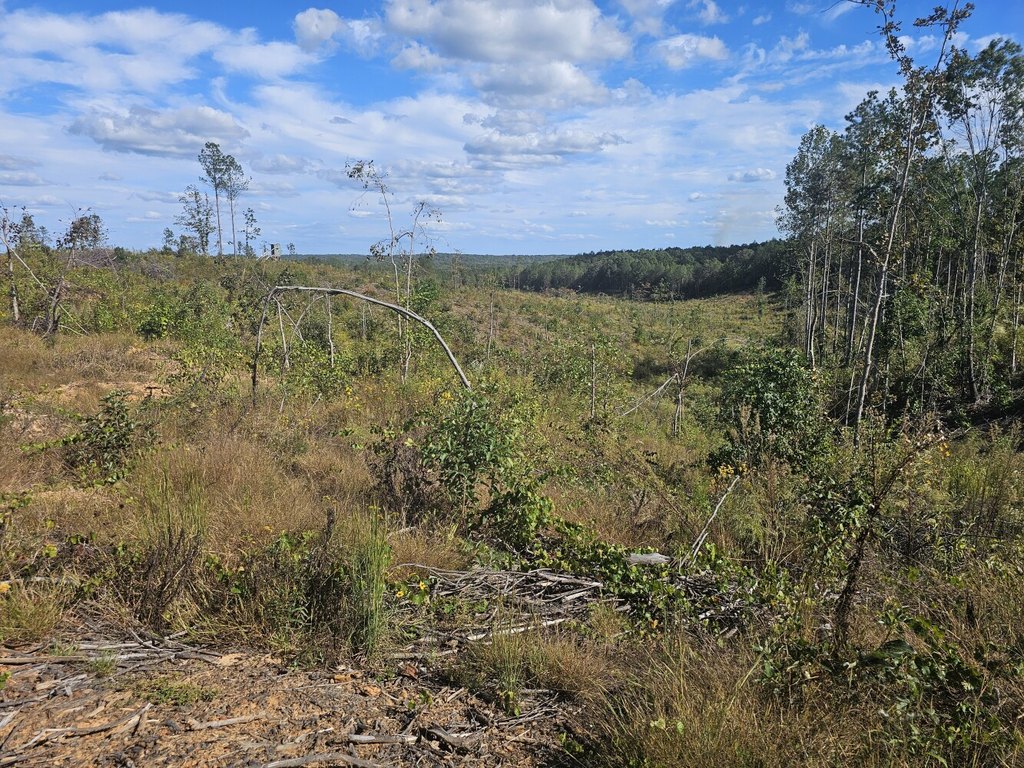 Picture 31