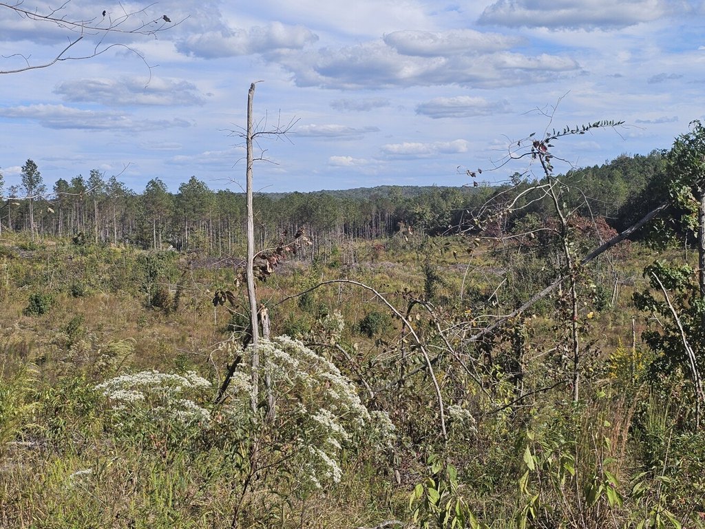 Picture 22