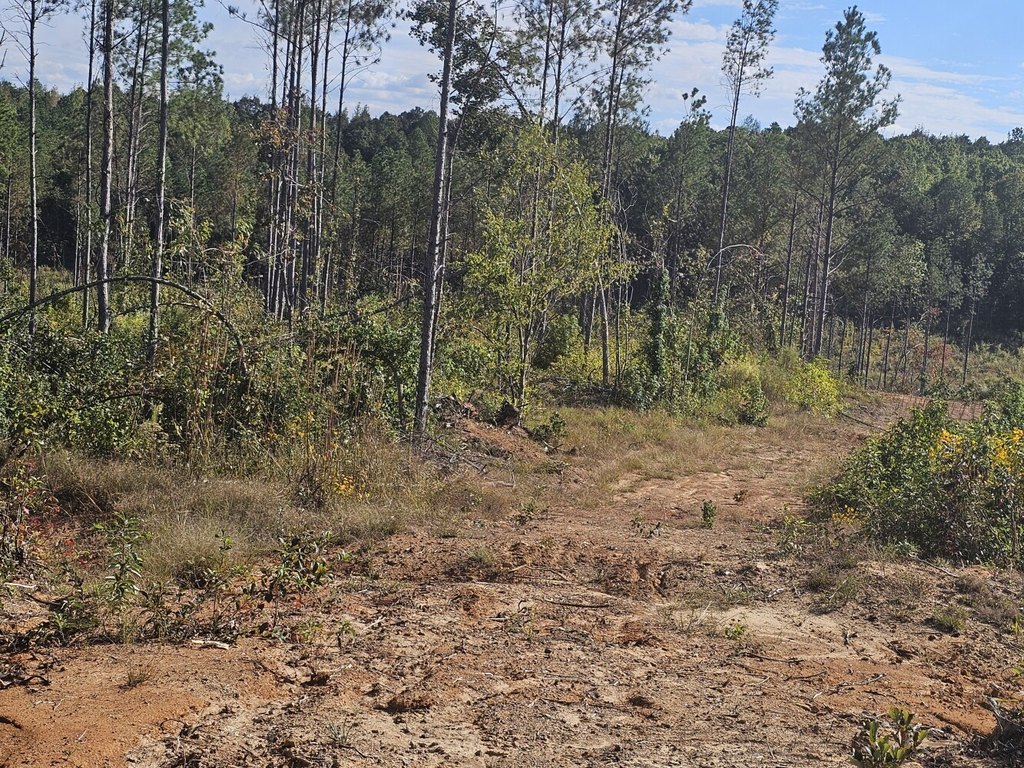 Picture 14