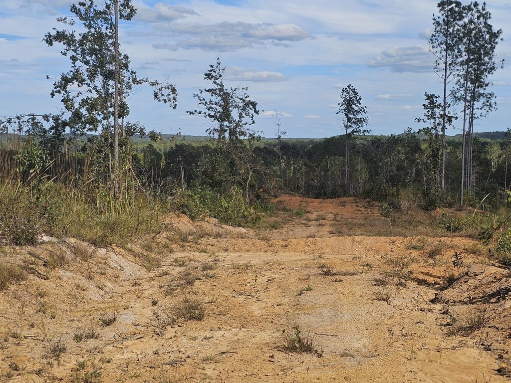 Picture 16