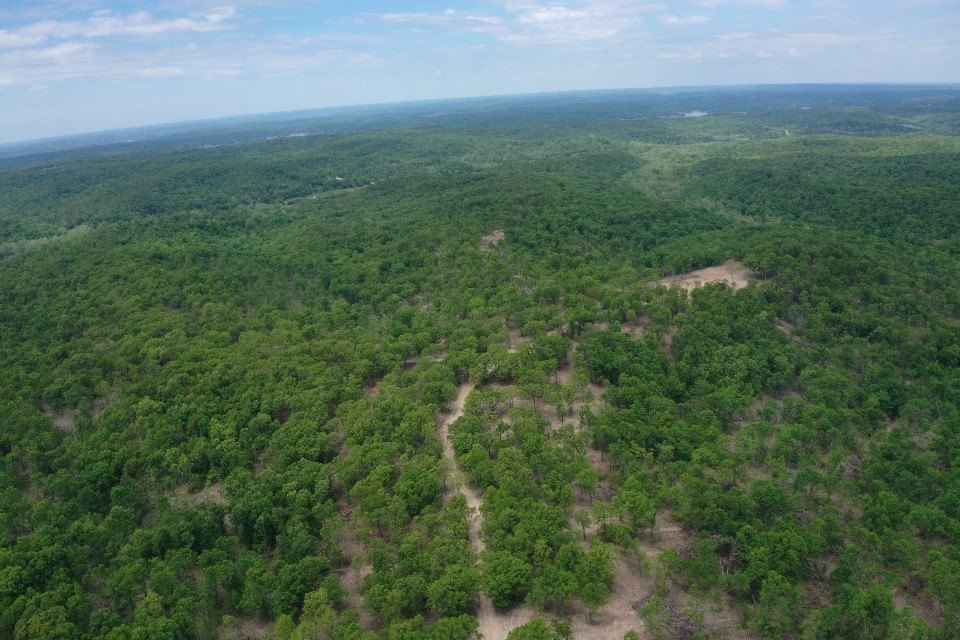 Secluded Timbered Land Near Lake