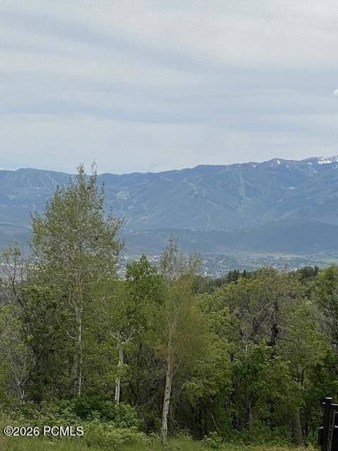 Picture 3