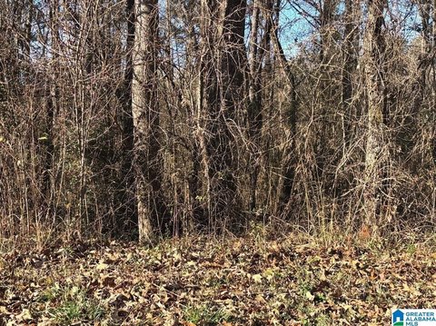Residential Lot in Wilsonville