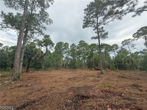 Land, Clewiston, FL