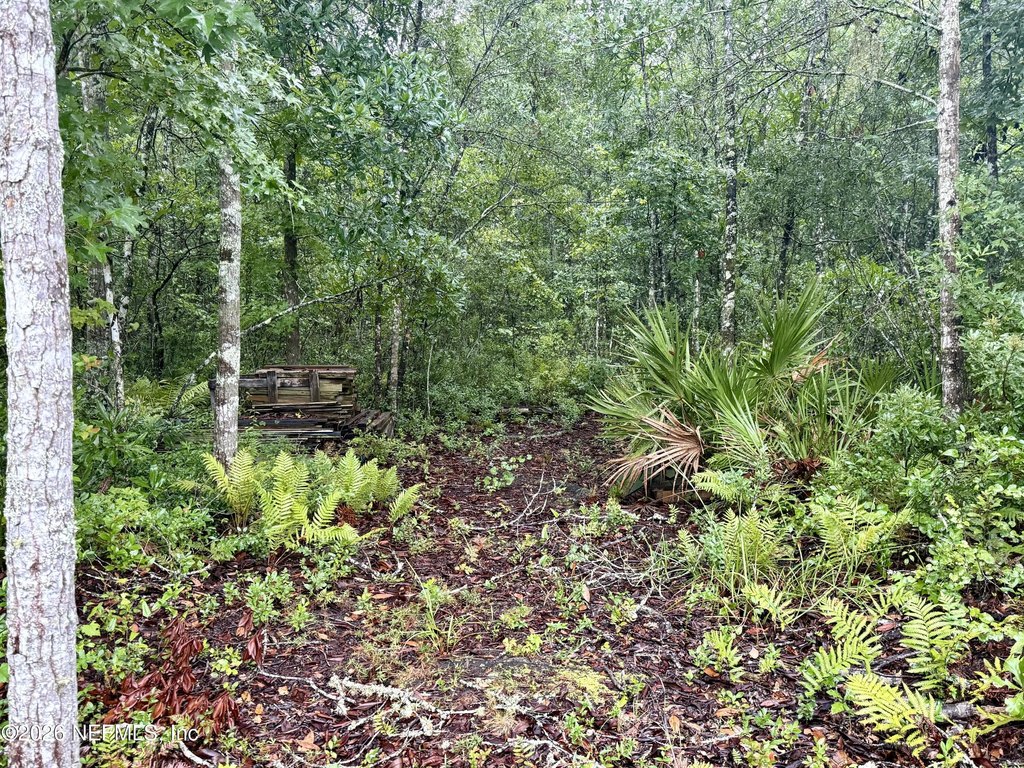 Picture 17