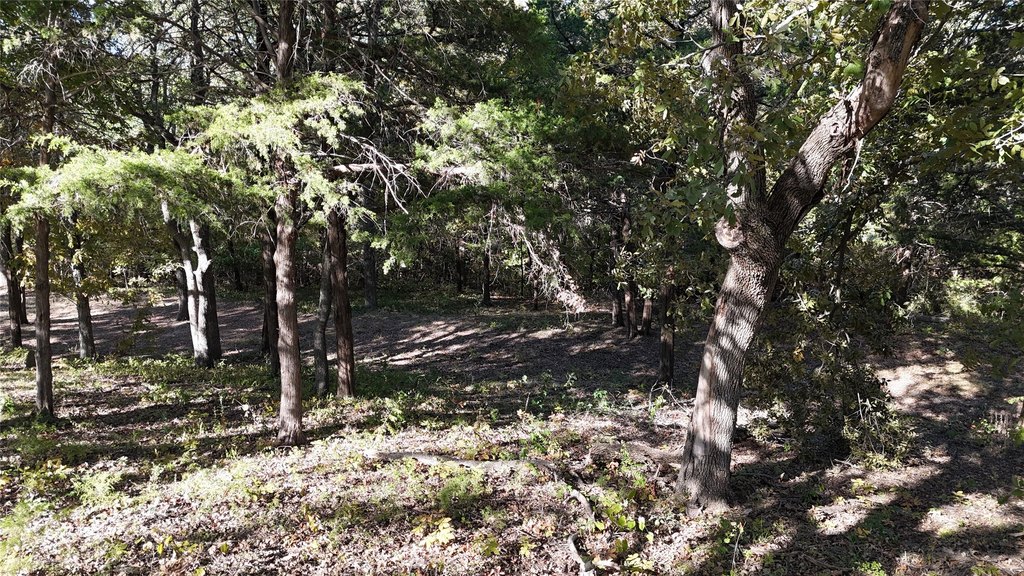 Picture 9