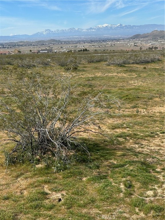 Picture 3