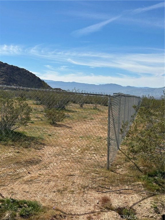 Picture 6