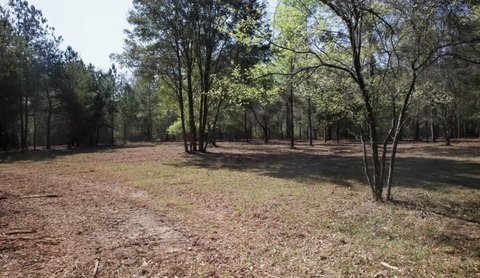 Crawfordville Land with Sunrise View