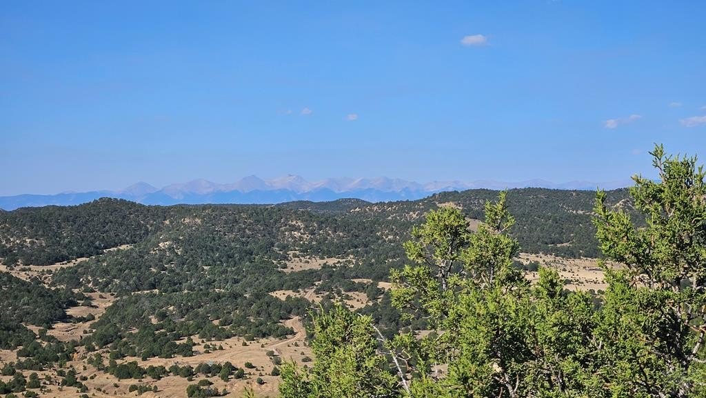 Colorado Hunting and Recreational Land