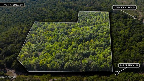 Dresden, TN Wooded Land Parcel