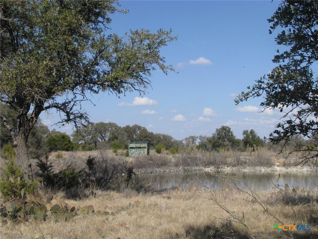 Hamilton County Ranch with Water