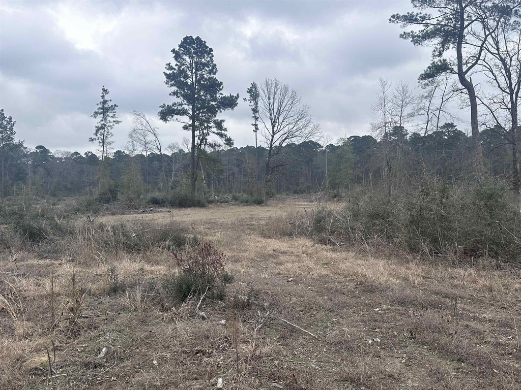 Picture 18