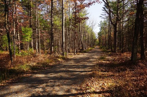 Land, Neillsville, WI