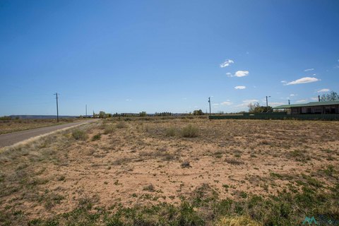 Land For Sale, Willard, NM