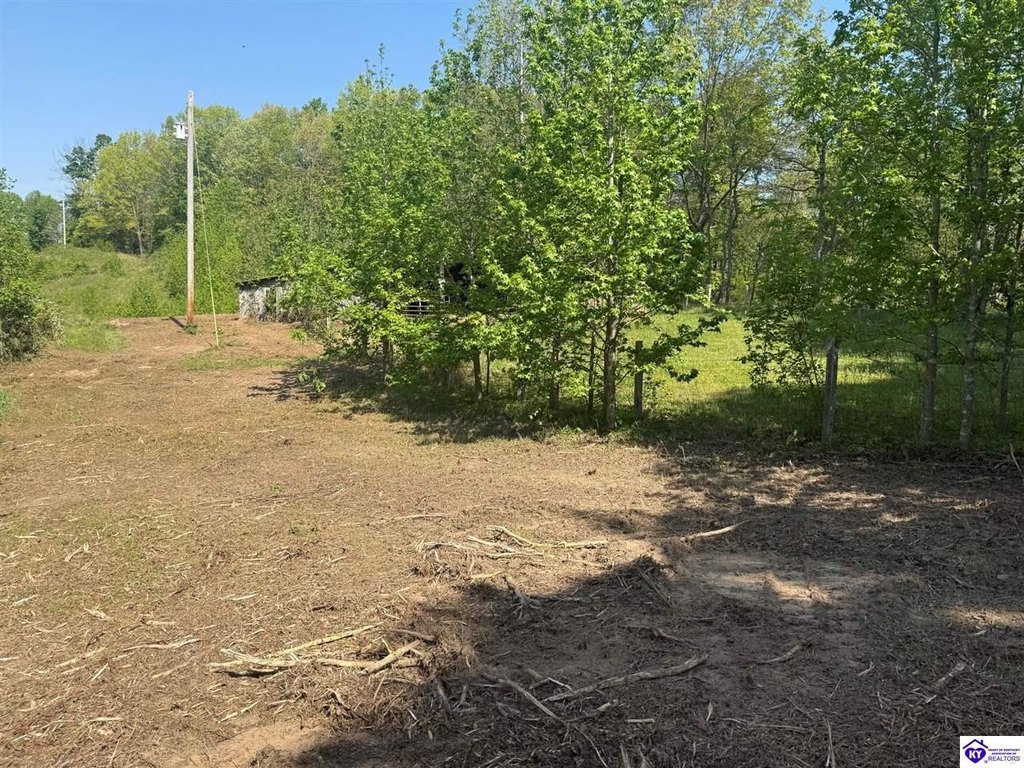 Picture 25