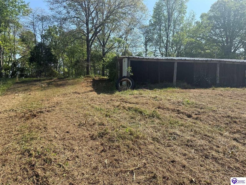Picture 28