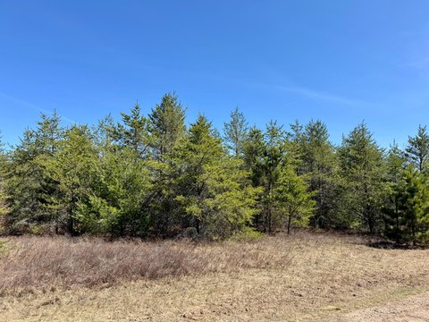 Woodruff, WI Land For Sale