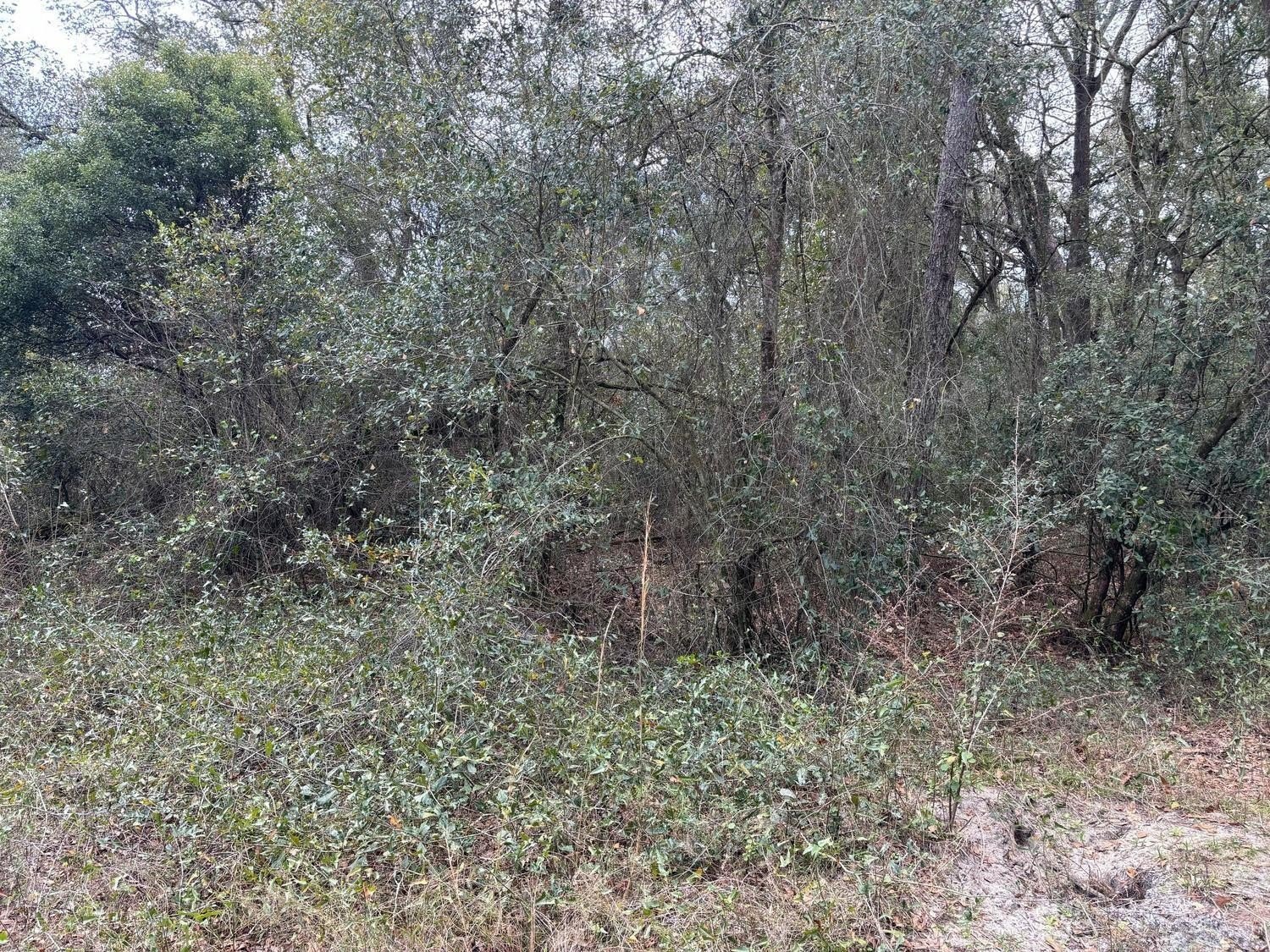 Rancho Bonito Acreage For Sale