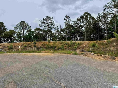 LAND - SYLACAUGA, AL