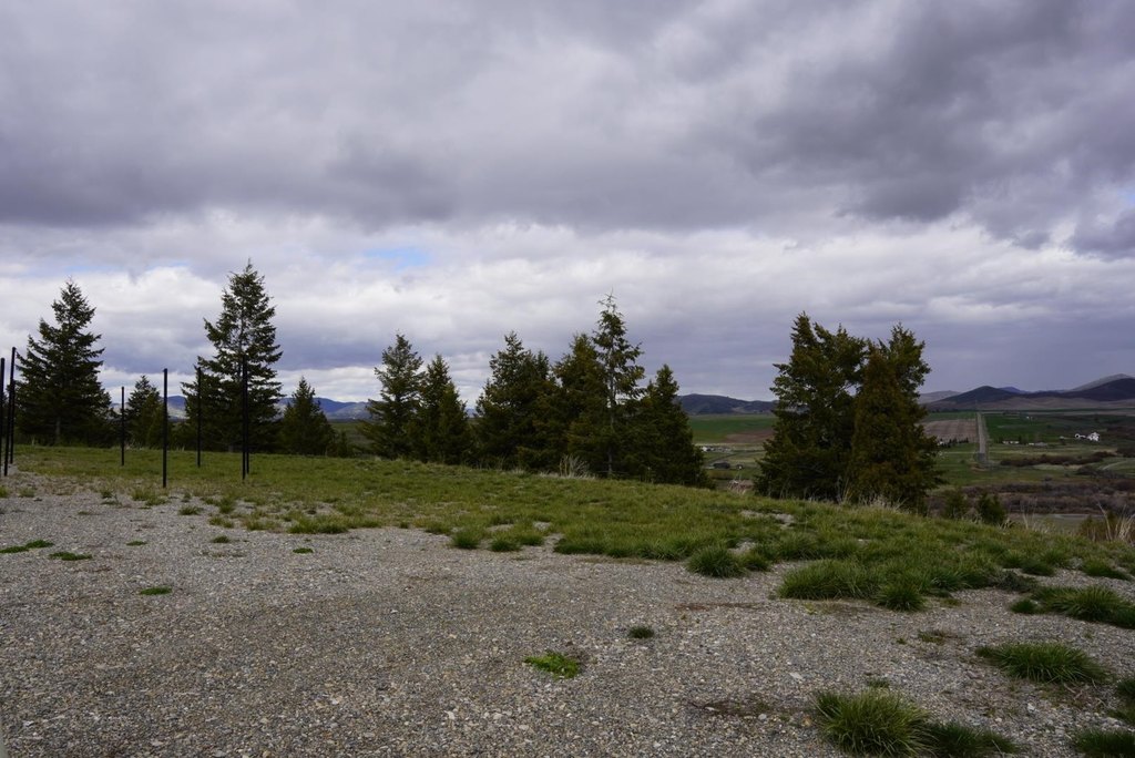 Picture 6