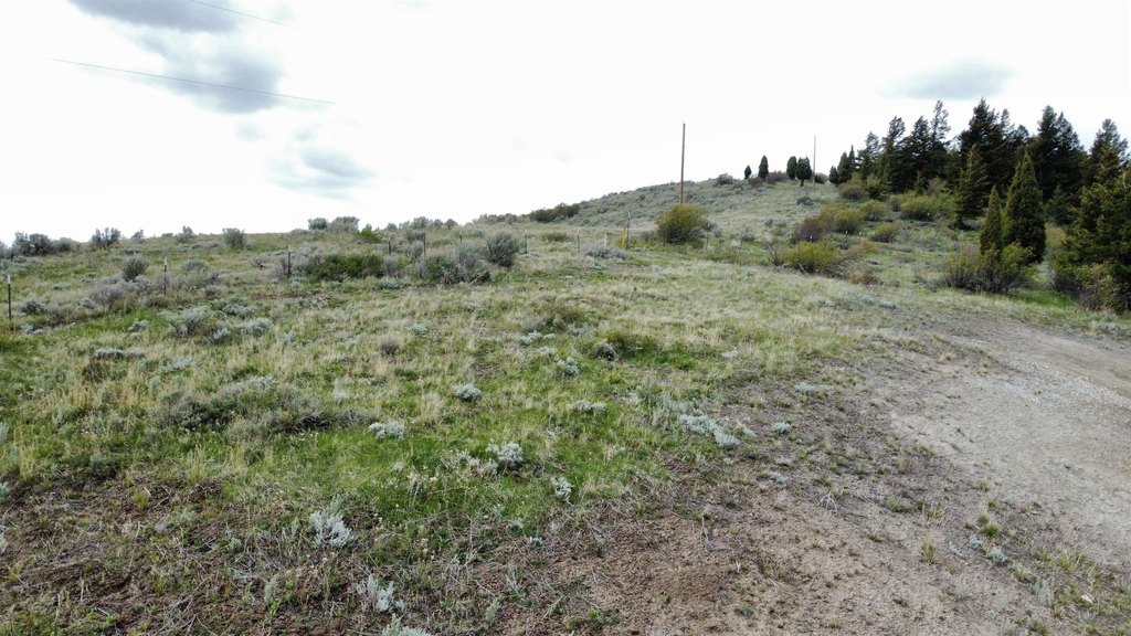 Picture 8