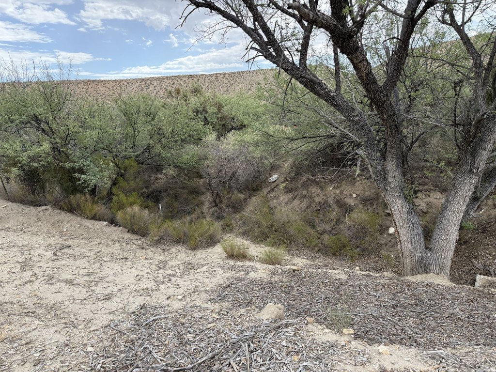 Picture 41