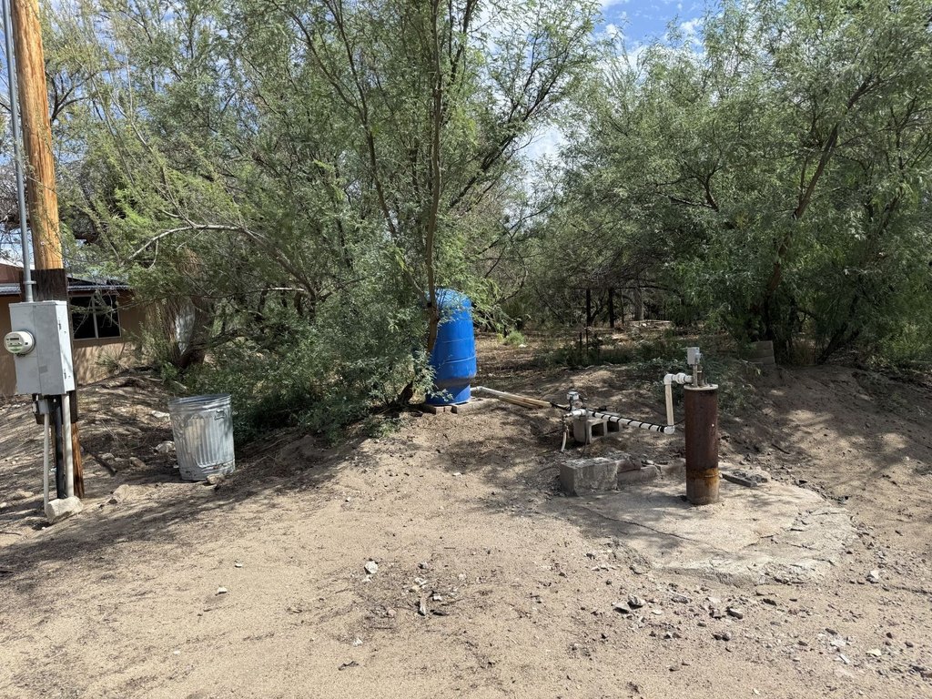 Picture 30