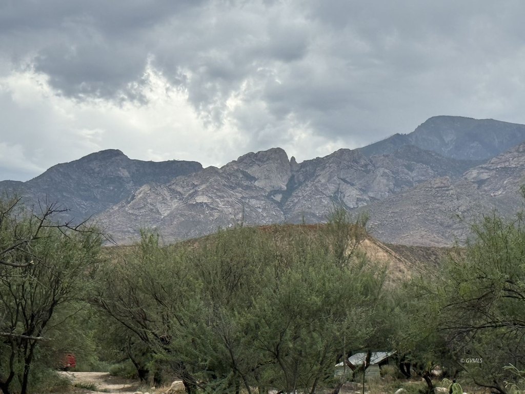 Picture 7