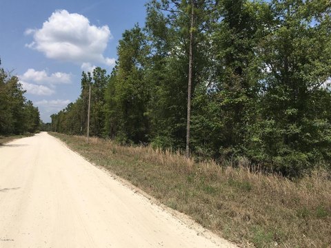 Wooded Acres Homesite Opportunity