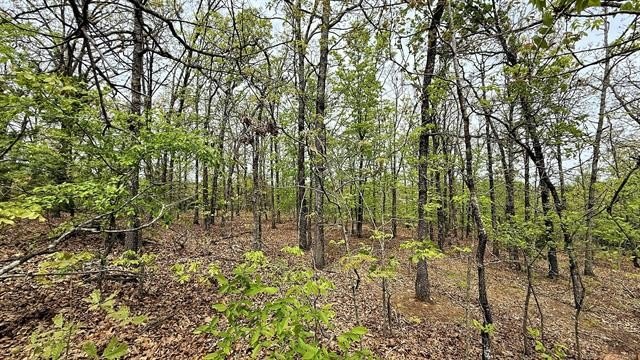 Park Hill Land Near Lake
