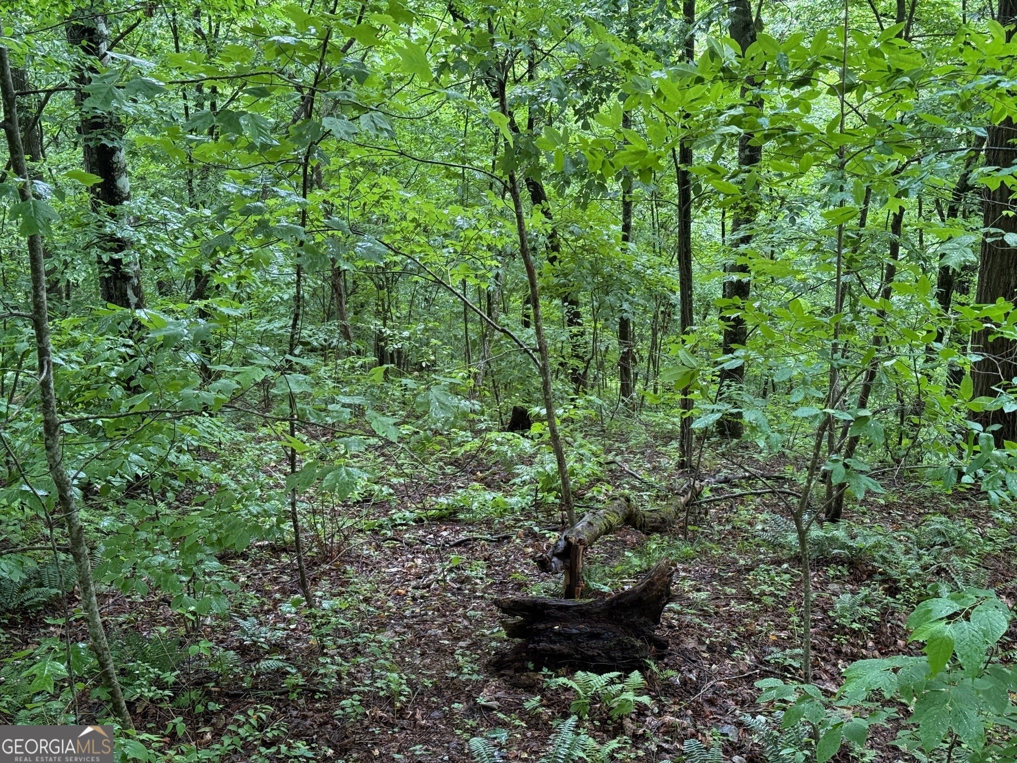 Hiawassee, GA Land For Sale