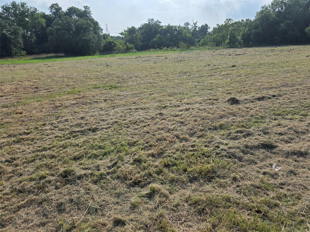 Picture 8