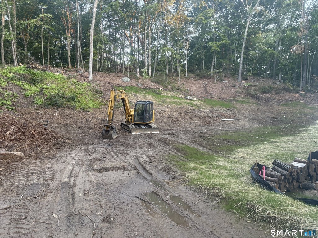 Picture 3