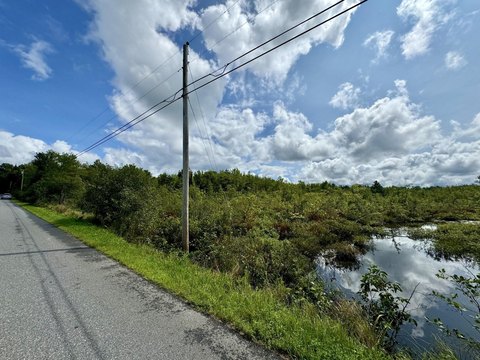 Palmyra Land Near Newport