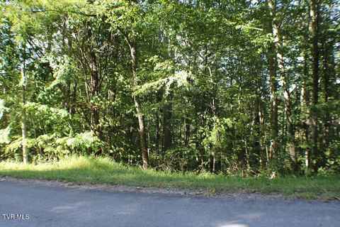 Wooded Lot in Mountain City