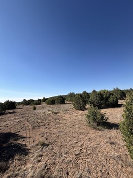 LAND - Tijeras, NM