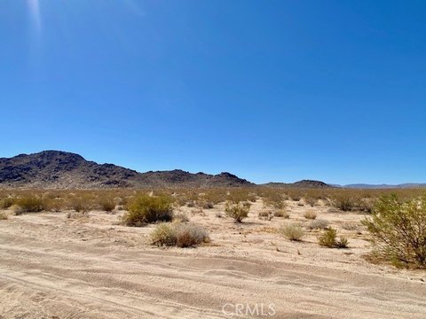 Land, Joshua Tree, CA