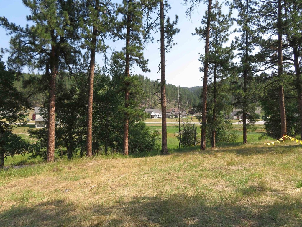 Picture 19
